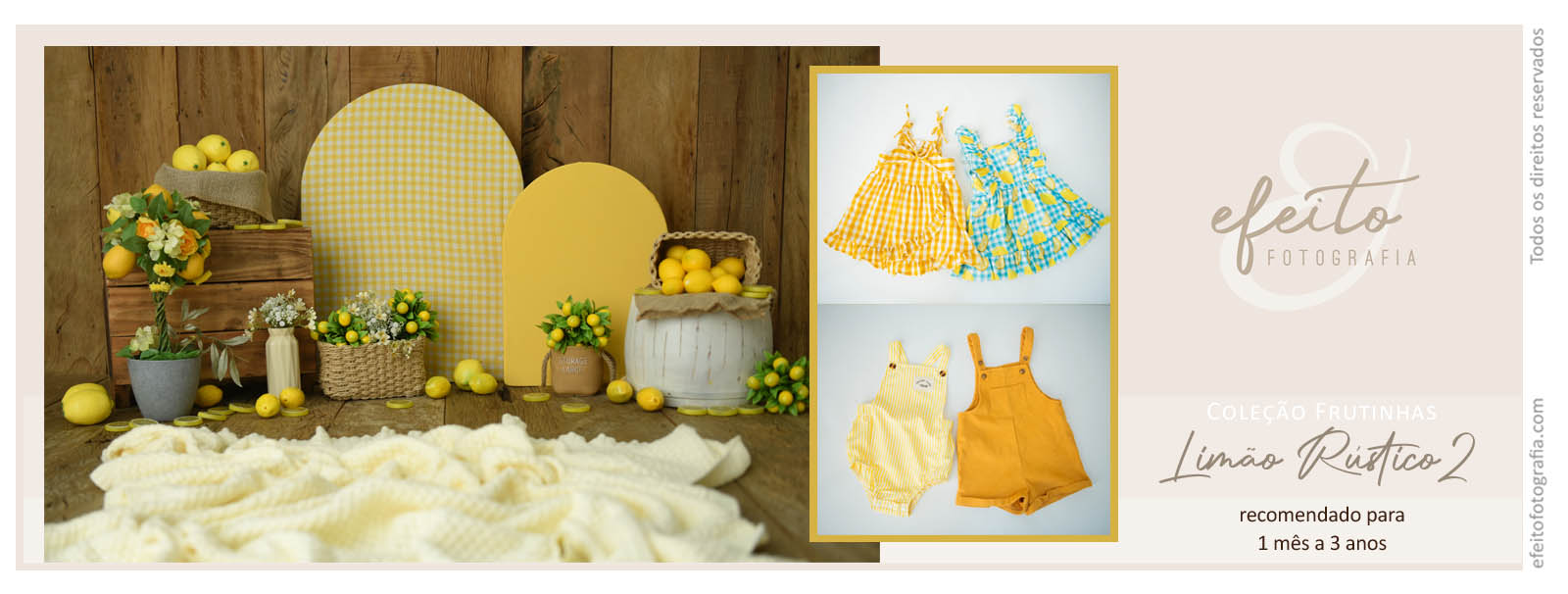 coleção frutinhas_RUSTICO_limao.jpg
