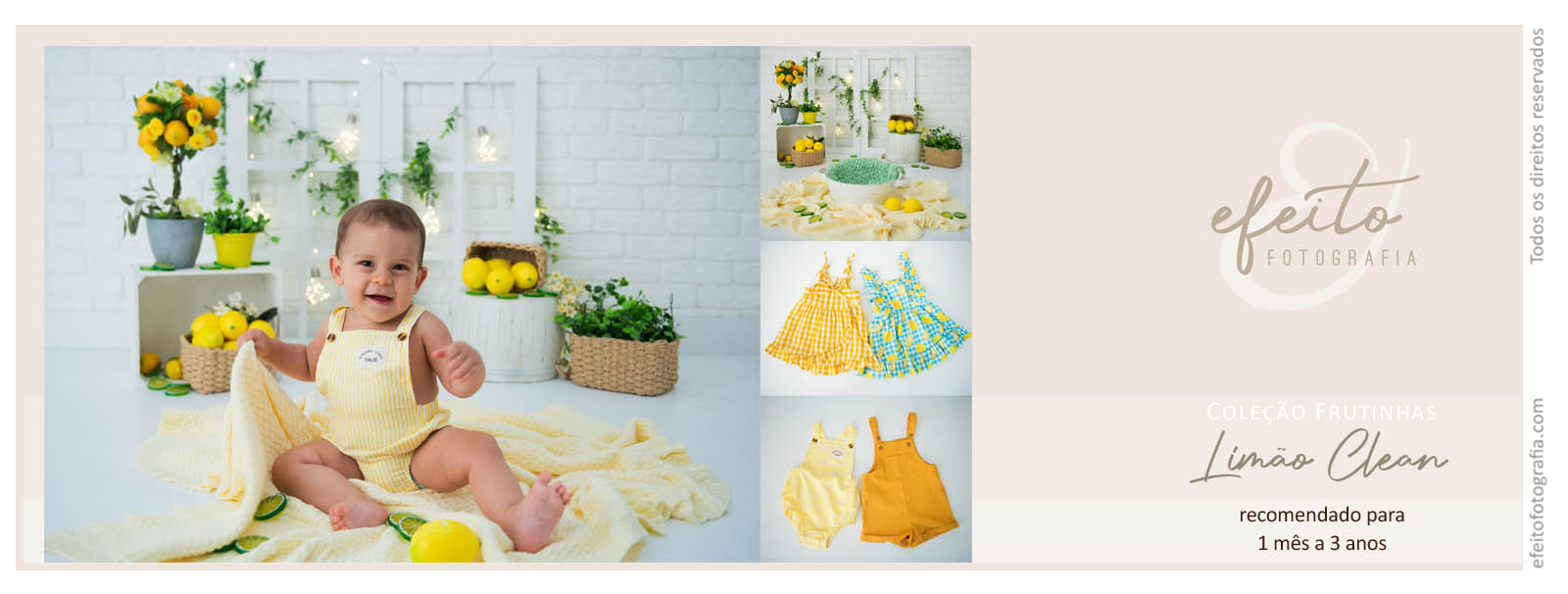 coleção frutinhas_CLEAN_limao.jpg