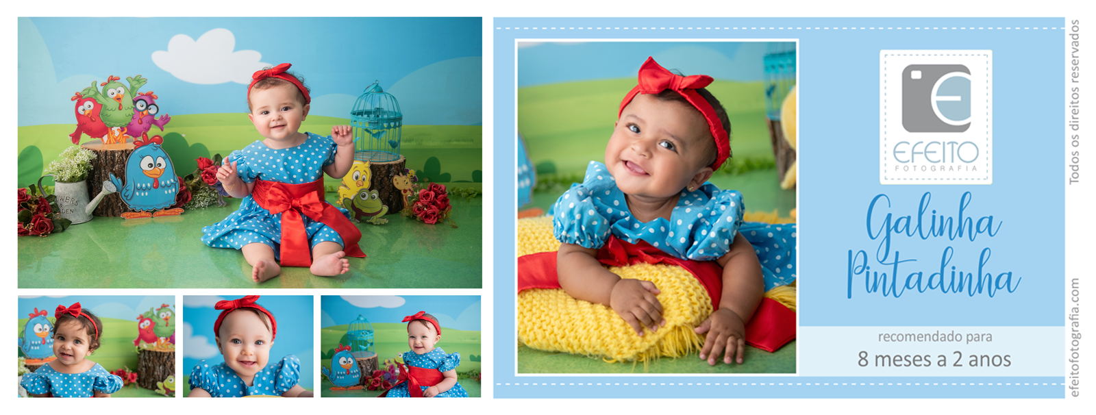 galinha pintadinha.png