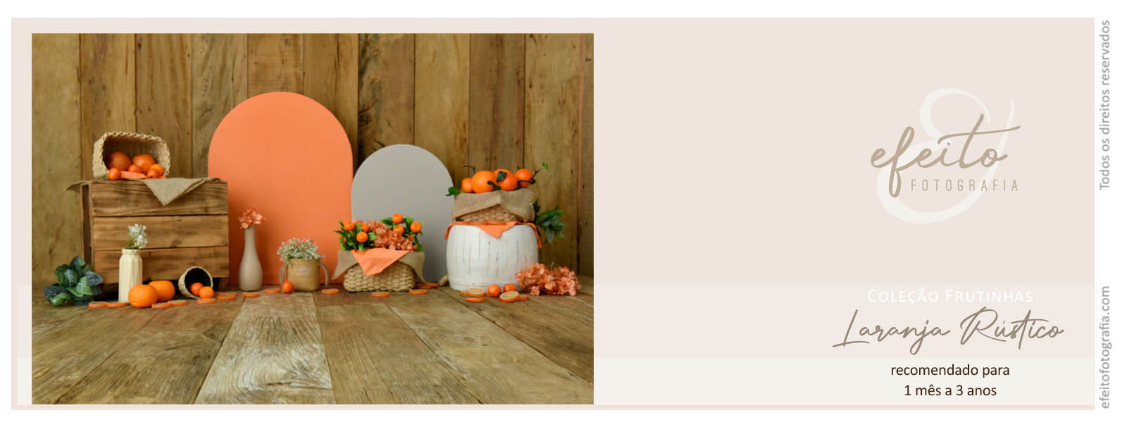 coleção frutinhas_RUSTICO_laranja.jpg