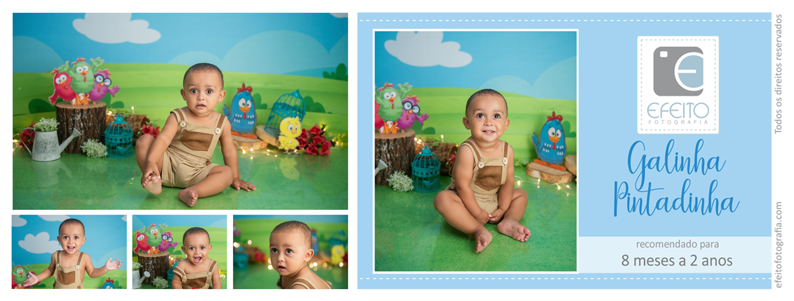 galinha pintadinha.png